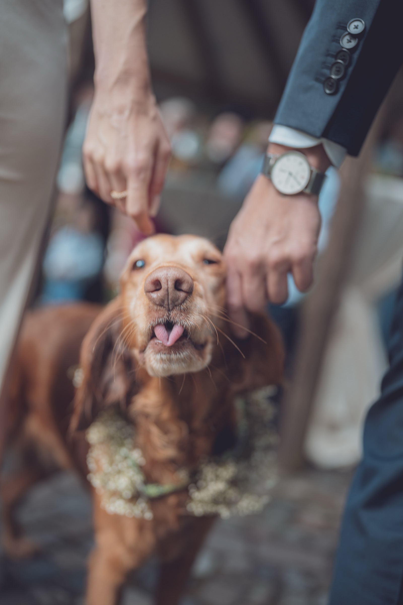 Kinga und Eike – Hochzeitsfotos zwischen Bäumen